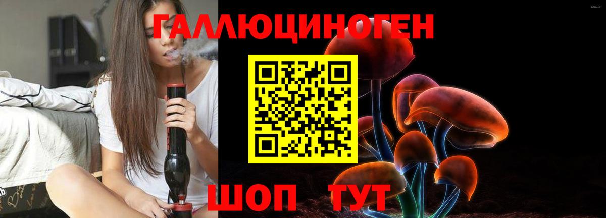Чусовой  Галлюциногенные грибы GOLDEN TEACHER  Псилоцибиновые грибы Psilocybine cubensis  Вход с VPN 